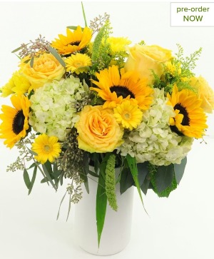 Golden Sunflower Garden 