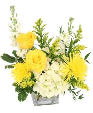 Administrative Professionals Day Flowers Collinsville, OK