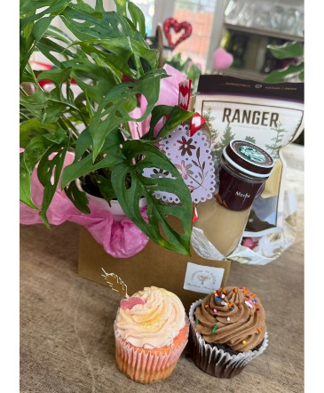 Goodies & Plant  in Klamath Falls, OR | Yarrow in Bloom