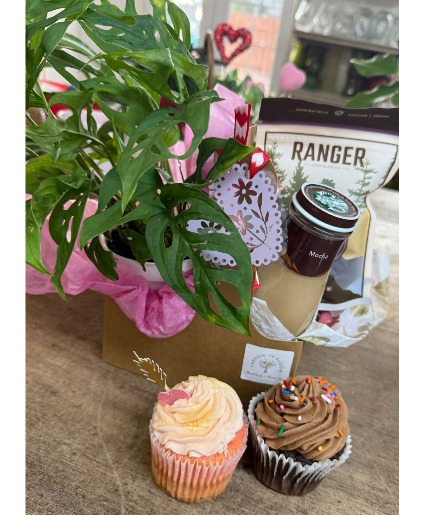 Goodies & Plant 