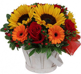 Goodness Basket - 333 Arrangement 
