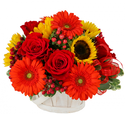 Goodness Basket 