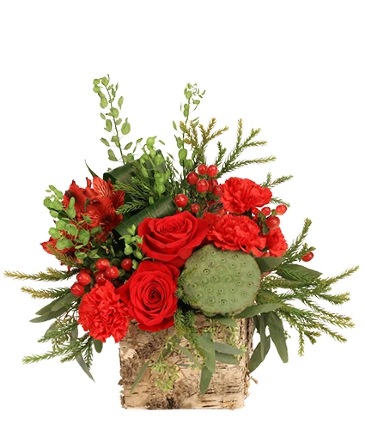 Gorgeous Greens & Reds Flower Arrangement in Glastonbury, CT | THE FLOWER DISTRICT