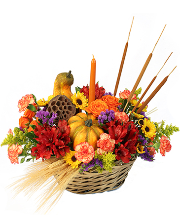 Gourd-eous Blooms Basket Arrangement in Presque Isle, ME | COOK FLORIST, INC.