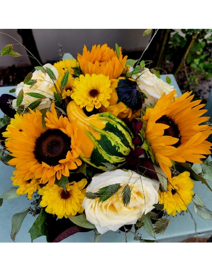 gourds and sunflowers 