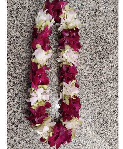 Double Orchid Hawaiian Lei 3 Colors Mix  GRADUATION 