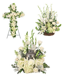 Graceful Eternity Sympathy Collection