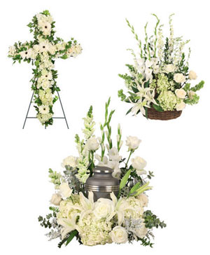 Graceful Eternity Sympathy Collection