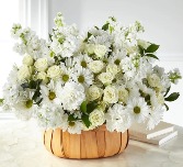 Graceful Garden Basket 