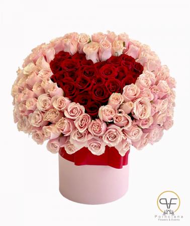 Grace´s Heart 