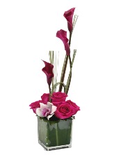 Gracias por tu amor... Every Day