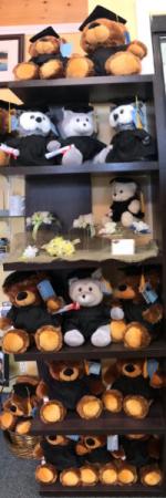 grad bears plush