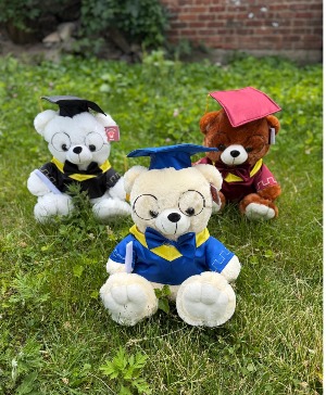 Grad Teddy Bear  bear