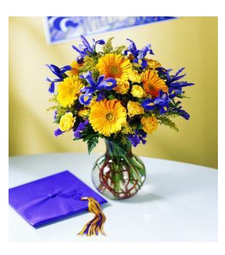 Graduation Arrangement 