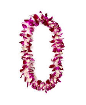 GRADUATION LEI GRADUATION 