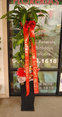 Grand Opening Lucky Tree Congratulations / Grand Opening