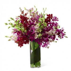 orchids in vase 