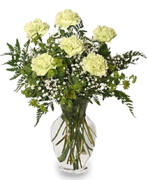 GREEN CARNATIONS VASED FRESH FLOWERS