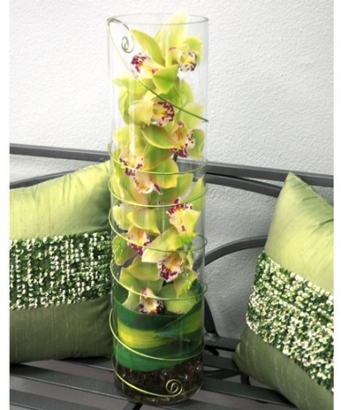Green Contempo 