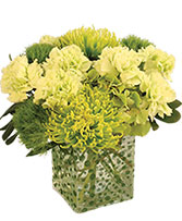 Green Envy Arrangement