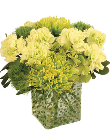 Green Envy Arrangement in Charlotte, NC | E&J Flower Shop