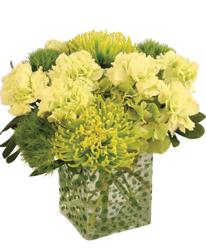 Green Envy Arrangement