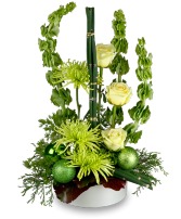 GREEN MYSTIQUE Winter Flowers