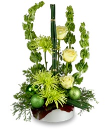 GREEN MYSTIQUE Winter Flowers