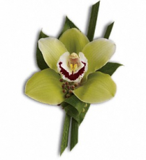 Green Orchid Boutonniere 