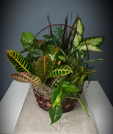 Green planter 