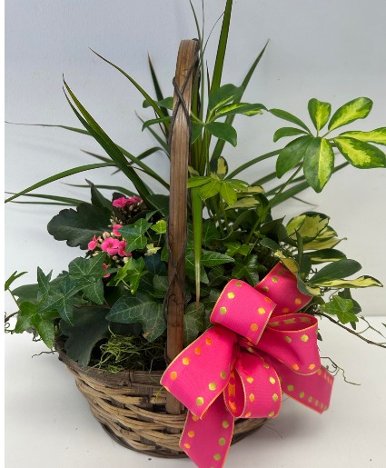 Green Thumb Growing Basket Planter