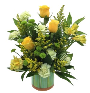 Green & Yellow Dreams 