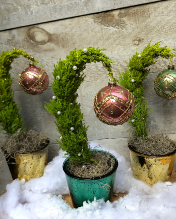Grinch Tree 4.5" Plant