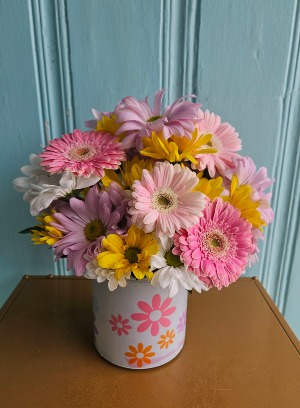 GROOVY DAISIES FRESH ARRANGEMENT