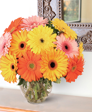 Groovy Gerberas Lifestyle Arrangement