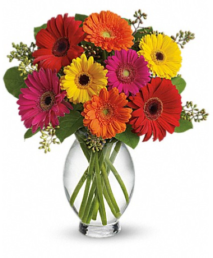 Groovy Gerbra Pet Safe Gerbera Vase Arrangement