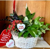 Grow with Me plant basket