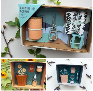 Growing Gift sets  in Southbury, CT | SOUTHBURY COUNTRY FLORIST