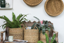 Hacienda  Baskets