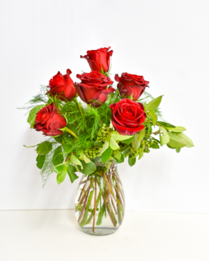 Elegant 1/2 Dozen Roses Designer's Choice