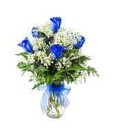 HALF DOZEN BLUE ROSES roses