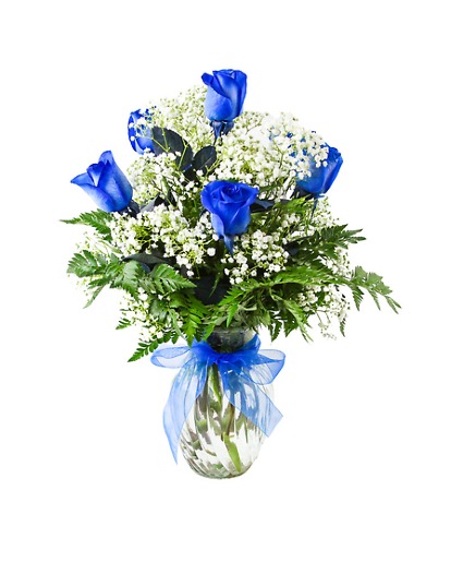 HALF DOZEN BLUE ROSES roses