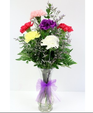 Half Dozen carnations    NFS-BV10 Bud vase