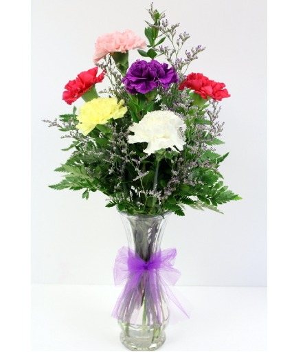 Half Dozen carnations    NFS-BV10 Bud vase