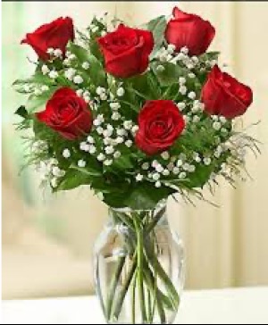 Half Dozen Classic Roses  vase