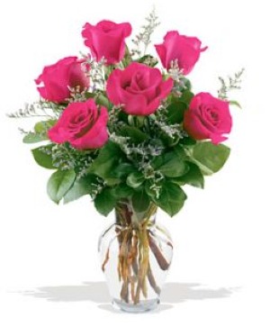 Half Dozen Hot Pink Roses Arrangement