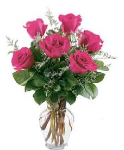Half Dozen Hot Pink Roses Roses