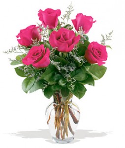 Half Dozen Pink 55.95 60.95