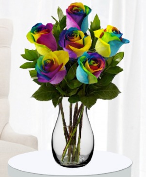 Half Dozen Rainbow Roses  Roses