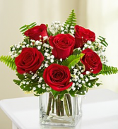 HALF DOZEN RED ROSE IN CUBE RED ROSES